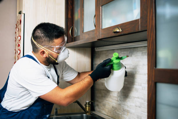 Best Affordable Pest Control Services  in Sharon Hill, PA