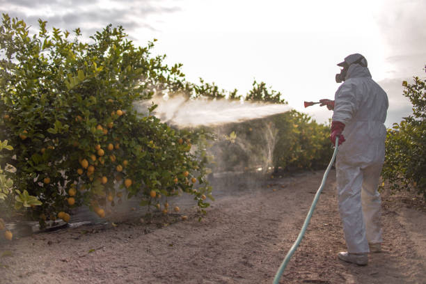 Best Local Pest Control Services  in Sharon Hill, PA