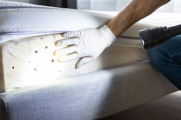 Pest Control for Restaurants in Sharon Hill, PA