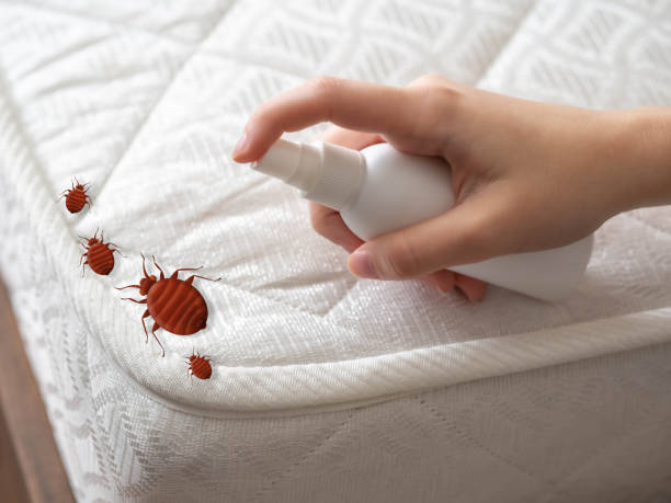Trusted Sharon Hill, PA Pest Control Experts